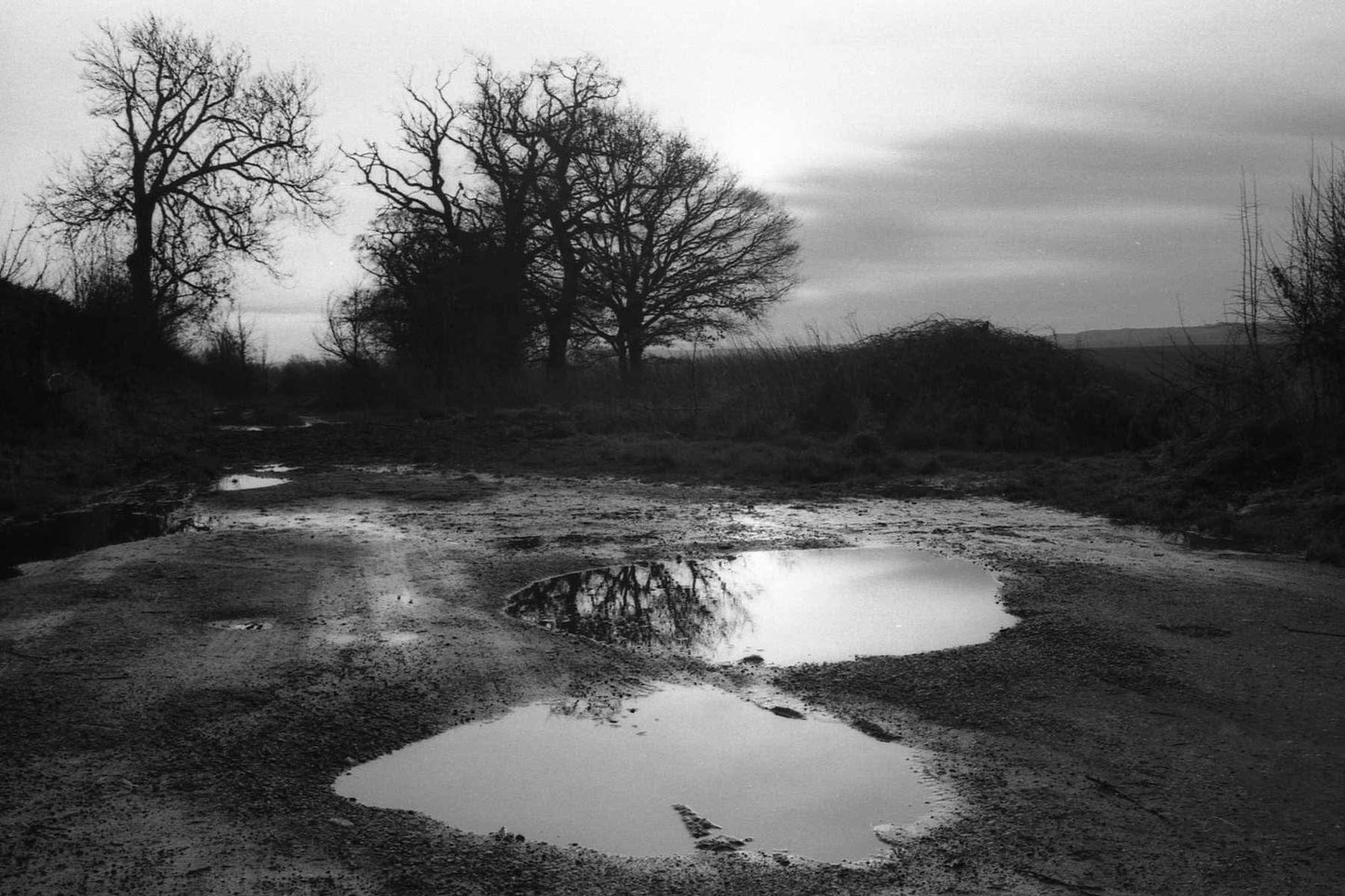 Noir 200 Black and White Film, 36 exposures