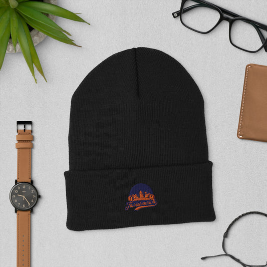 This Is How I Roll Film Beanie.